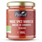 Pronat Glass Pack Amestec de Condimente Magic Spice Barbecue, Bio, 100 g
