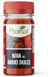 Pronat Pet Pack Boia de Ardei Idulce, Bio, 50 g