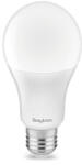 BRAYTRON Bec LED Bulb 13W A65 6500K E27 Braytron (BA13-01323)