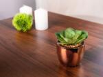 MagicHome Vianoce Suculent artificial decorativ in ghiveci auriu tip ciment, 15 cm (8090341)