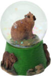  Hógömb capybara-vízidisznó 6, 5cm