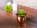 MagicHome Vianoce Suculent artificial decorativ in ghiveci auriu din ciment, 12 cm (8090343)