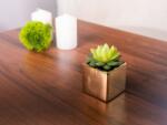 MagicHome Vianoce Sukulent artificial in ghiveci ceramic auriu MagicHome, 15 cm (8090350)