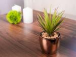 MagicHome Vianoce Suculent artificial in ghiveci auriu din ciment, 19 cm, MagicHome (8090342)