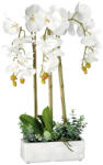 AdTrend Orhidee artificiala alba in ghiveci ceramica 25 x 10 x 62 cm (74899A)