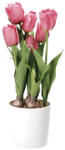 AdTrend Lalele artificiale roz in ghiveci ceramica 15 x 49 cm (74879C)