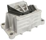 REINHOCH Suport motor REINHOCH RH58-3029 (RH58-3029) - automobilus