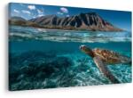 Dovido Tablou broască țestoasă de mare în ocean - 120x80 - dovido - 282,30 RON