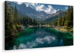 Dovido Tablou lac montan în pădure - 40x30