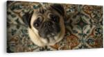 Dovido Tablou privire canină asupra ornamentelor - 140x70