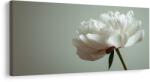 Dovido Tablou eleganță florală pe alb - 80x40