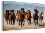 Dovido Tablou galop sălbatic al cailor prin peisaj - 150x100