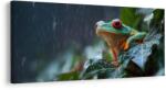 Dovido Tablou broască colorată în ploaie tropicală - 140x70