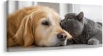 Dovido Tablou armonia animalelor de companie - 120x60