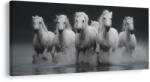 Dovido Tablou galop sălbatic al cailor albi - 100x50