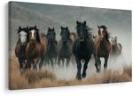 Dovido Tablou cai sălbatici în ceață - 30x20