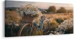 Dovido Tablou plimbare romantică printre margarete - 100x50