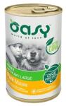 Oasy OAWODMAL0040 Oasy One Fehérjetáp Felnőtt Közepes/Nagy Sertéshúsnak 0, 4 kg