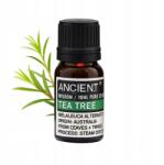 Ancient Wisdom Teafa illóolaj 100% természetes antibakteriális 10ml (EO-02)