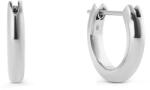 Daniel Wellington cercei pentru femei, din oțel inoxidabil 99KK-AKDZUF_SLV (DW00401945)