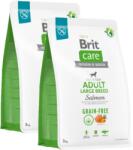 Brit Care Grain-free Adult Large Breed Salmon & Potato 2x3 kg