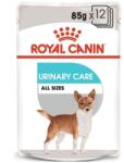Royal Canin CCN Urinary Care Wet 48x85 g