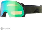 Alpina BLACKCOMB Q szemüveg, black/olive matt/green