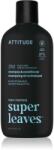 ATTITUDE Super Leaves Men's Shampoo and Conditioner 2-in-1 sampon si balsam 2 in 1 pentru barbati Eucalyptus & Sage 415 ml