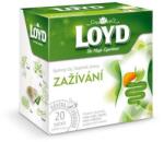 LOYD emésztést segítő piramis tea 40g