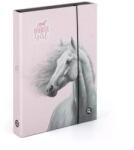 KARTON P+P Cai romantic: cutie dosar cu model de cal - format A4 (5 71026)