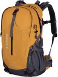 ALPINUS Rucsac Alpinus Tarfala 35 l - Muștar Rucsac tura