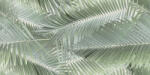 Valore Dekorlap, Valore Altea Leaves Dekor (CCR211) 30x60 - zuhanykabin