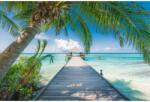 Ravensburger Puzzle Ravensburger Maldive Uimitor 4000 de piese Puzzle