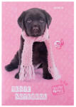 Kite Нотна тетрадка Kite Studio Pets A4 20л (1120052-SP24-404)