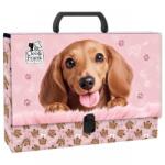 DERFORM Mapă din carton laminat cu mâner, închidere cu clemă, A4, Cleo&Frank, model cățel - Derform, 10cm