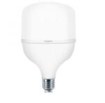 BRAYTRON Bec Led 50W E27 T140 6500K