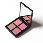 Delfy Cosmetics Machiaj Ten Paradise - Blush Collection N Paleta 10 g