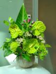 ImodFlowers Aranjament floral verde cu anthurium pentru receptie