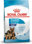 Royal Canin Maxi Starter & Babydog 4 kg