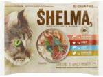 Shelma pocket mp csirke marha lazac tőkehal @4x85g