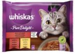 Whiskas tasakos mp pure delight klasszikus válogatás zselében @4x85g