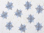 Ambition Suport farfurie laminat 40x30cm, Galactic Stars (5907078408750)