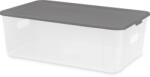 Domotti All Box fedéllel 11 l 39x26x13 cm (5907078425498)