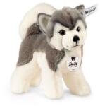 Steiff Originals Bernie husky, fehér plüss játék (STF_104985)