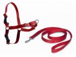 PetSafe EasyWalk Harness húzásgátló hám - M, piros (PF-EW-H-M-RD-17)