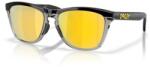 Oakley Ochelari Oakley Frogskins Range, matte black/prizm 24k polarized ()