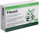 Fitexal supliment pentru slăbit cu Garcinia, L-carnitină și ceai verde, 20 ct