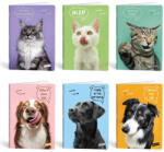 Mar-Mar Füzet kockás LIPAMILL A/4 40 lapos Pets (1211638884)