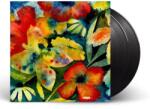 Sony Adrianne Lenker: Songs And Instrumentals - 2Vinyl (LP) (082029)