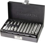 Topmaster Professional Set biti RIBE 15 piese M6-M14, 30/75 mm, cu adaptor 1/2 Top Master Pro (390175) Surubelnita